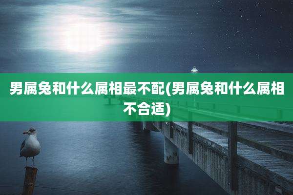 男属兔和什么属相最不配(男属兔和什么属相不合适)