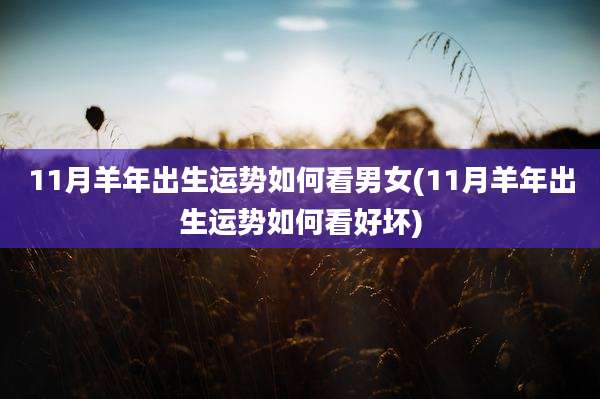 11月羊年出生运势如何看男女(11月羊年出生运势如何看好坏)