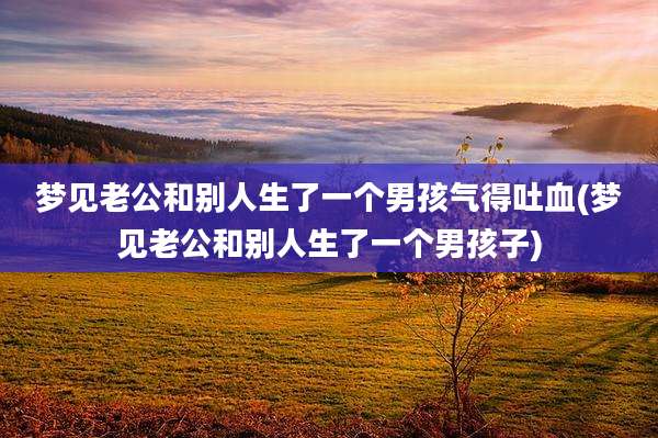梦见老公和别人生了一个男孩气得吐血(梦见老公和别人生了一个男孩子)
