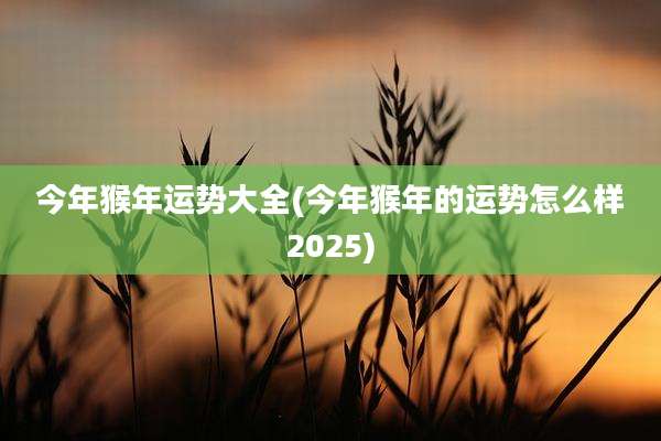 今年猴年运势大全(今年猴年的运势怎么样2025)