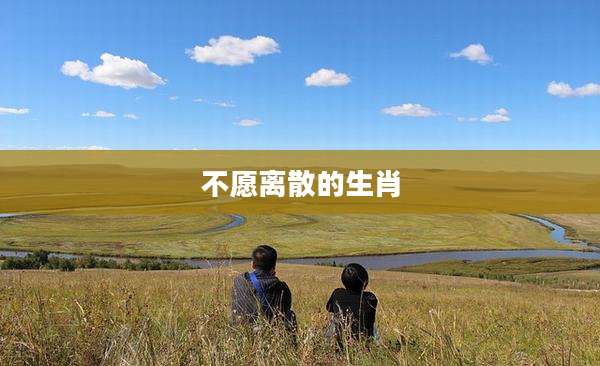不愿离散的生肖