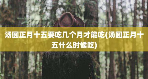 汤圆正月十五要吃几个月才能吃(汤圆正月十五什么时候吃)