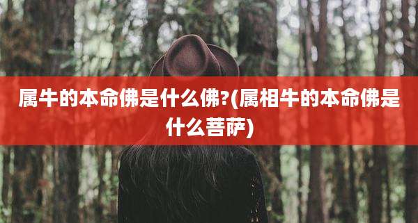 属牛的本命佛是什么佛?(属相牛的本命佛是什么菩萨)
