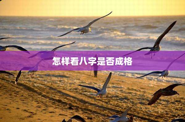 怎样看八字是否成格