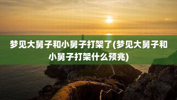 梦见大舅子和小舅子打架了(梦见大舅子和小舅子打架什么预兆)