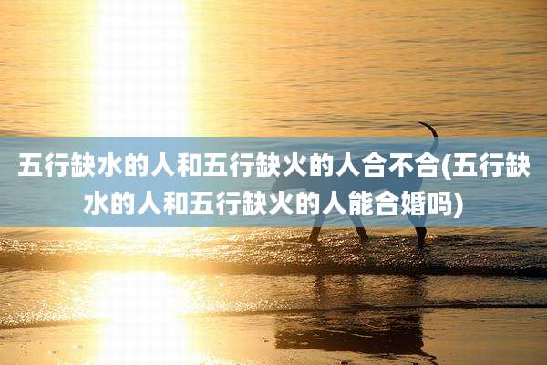 五行缺水的人和五行缺火的人合不合(五行缺水的人和五行缺火的人能合婚吗)