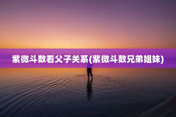 紫微斗数看父子关系(紫微斗数兄弟姐妹)