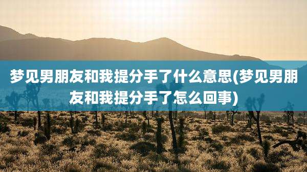 梦见男朋友和我提分手了什么意思(梦见男朋友和我提分手了怎么回事)