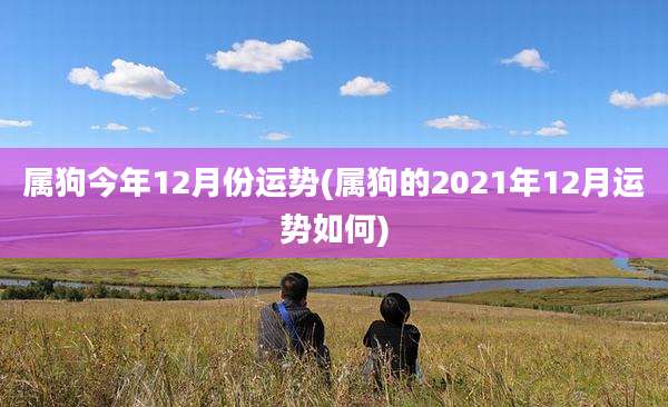 属狗今年12月份运势(属狗的2021年12月运势如何)