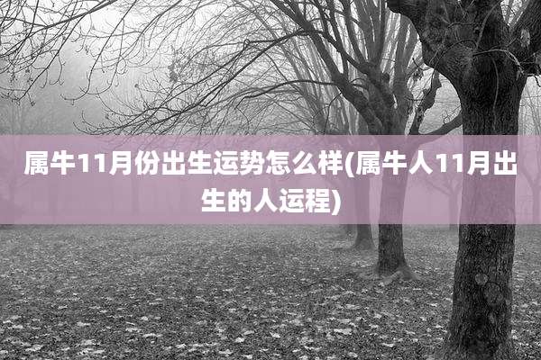 属牛11月份出生运势怎么样(属牛人11月出生的人运程)