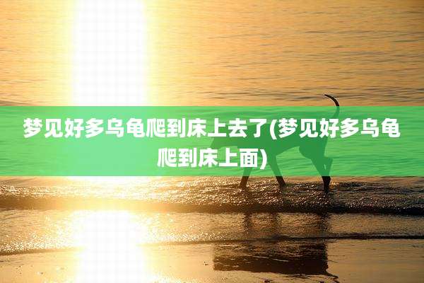 梦见好多乌龟爬到床上去了(梦见好多乌龟爬到床上面)