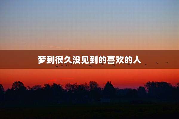 梦到很久没见到的喜欢的人