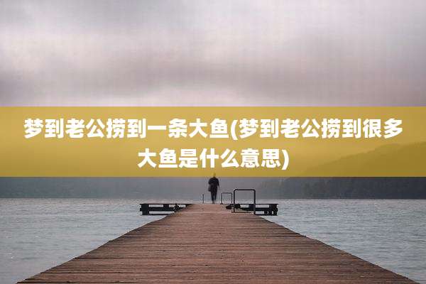 梦到老公捞到一条大鱼(梦到老公捞到很多大鱼是什么意思)