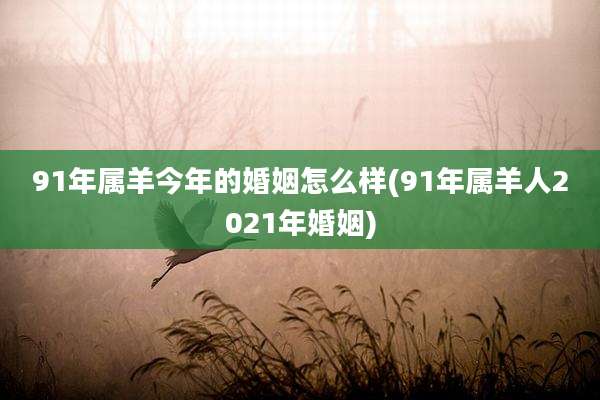 91年属羊今年的婚姻怎么样(91年属羊人2021年婚姻)