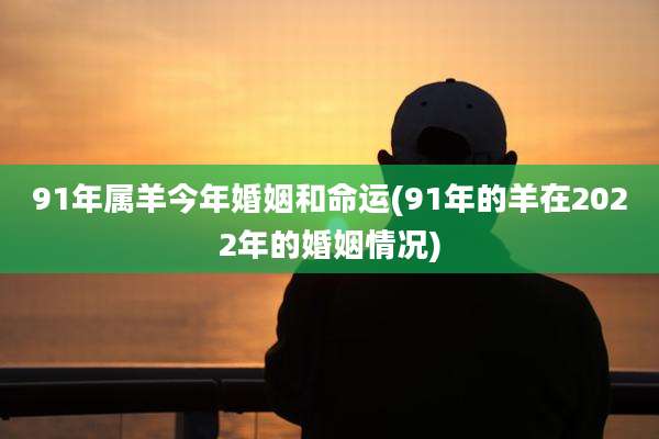 91年属羊今年婚姻和命运(91年的羊在2022年的婚姻情况)