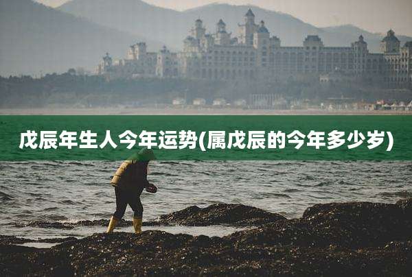 戊辰年生人今年运势(属戊辰的今年多少岁)