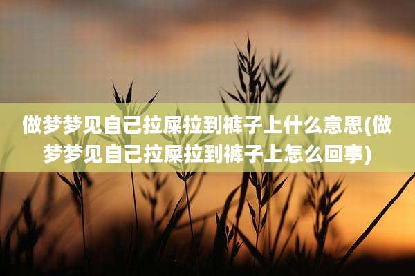 做梦梦见自己拉屎拉到裤子上什么意思(做梦梦见自己拉屎拉到裤子上怎么回事)