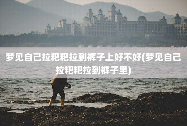 梦见自己拉粑粑拉到裤子上好不好(梦见自己拉粑粑拉到裤子里)