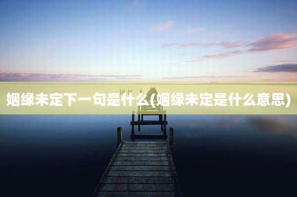 姻缘未定下一句是什么(姻缘未定是什么意思)