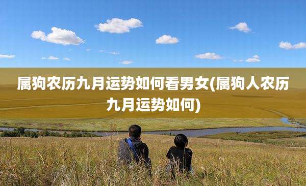 属狗农历九月运势如何看男女(属狗人农历九月运势如何)