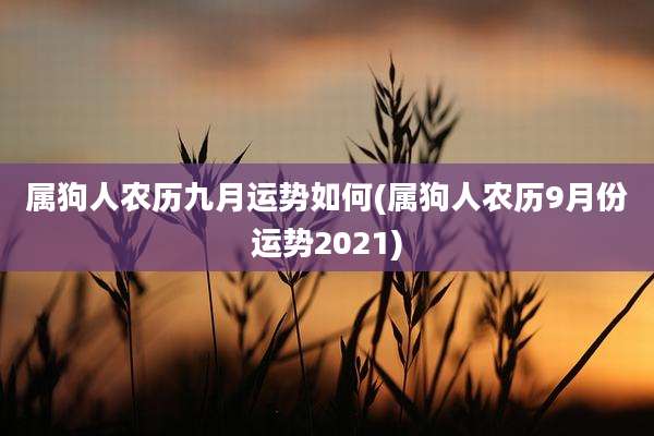 属狗人农历九月运势如何(属狗人农历9月份运势2021)