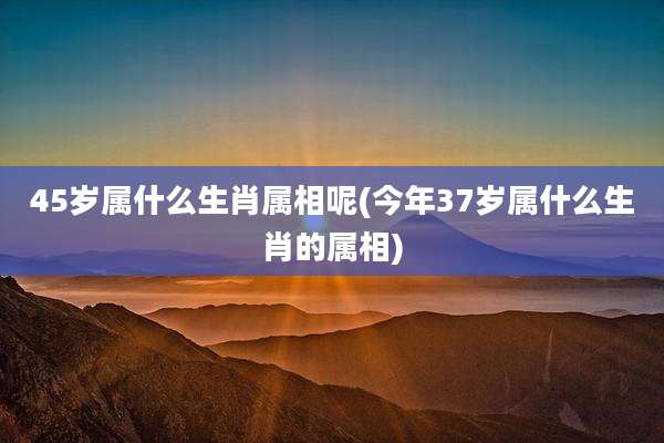 45岁属什么生肖属相呢(今年37岁属什么生肖的属相)