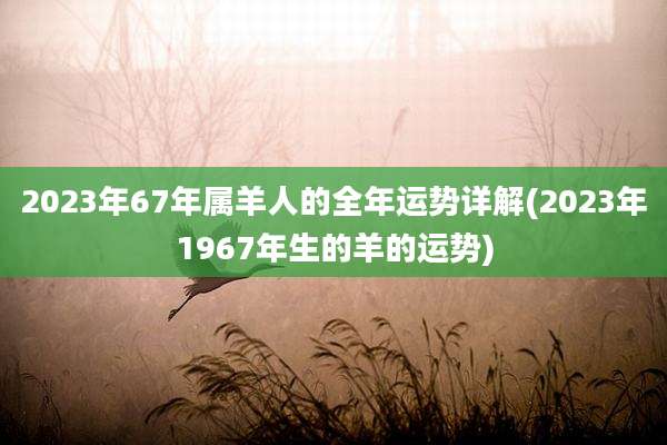 2023年67年属羊人的全年运势详解(2023年1967年生的羊的运势)