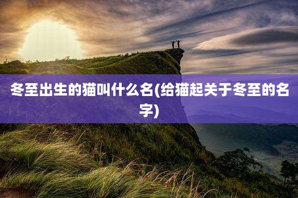 冬至出生的猫叫什么名(给猫起关于冬至的名字)