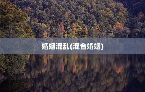 婚姻混乱(混合婚姻)