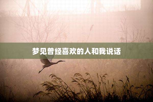 梦见曾经喜欢的人和我说话