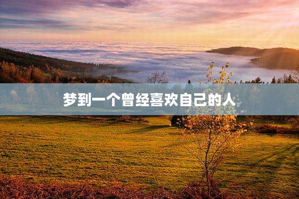梦到一个曾经喜欢自己的人