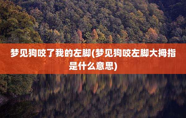 梦见狗咬了我的左脚(梦见狗咬左脚大拇指是什么意思)