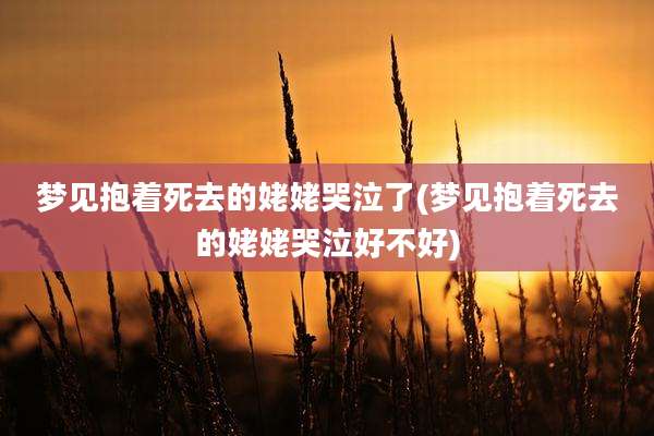 梦见抱着死去的姥姥哭泣了(梦见抱着死去的姥姥哭泣好不好)
