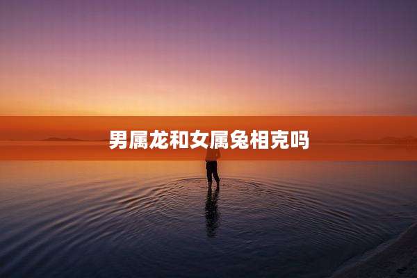 男属龙和女属兔相克吗