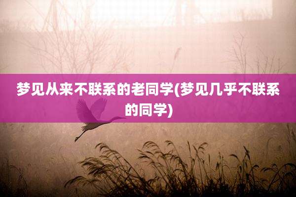 梦见从来不联系的老同学(梦见几乎不联系的同学)