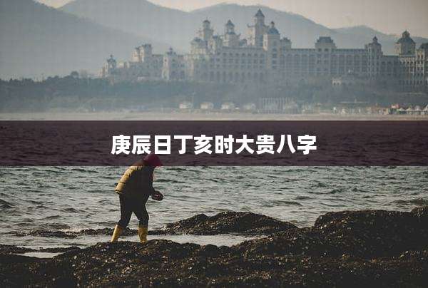 庚辰日丁亥时大贵八字