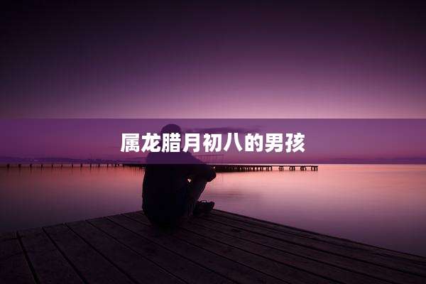 属龙腊月初八的男孩