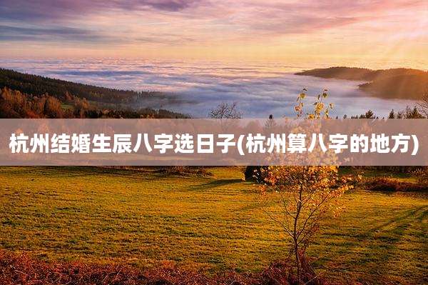 杭州结婚生辰八字选日子(杭州算八字的地方)