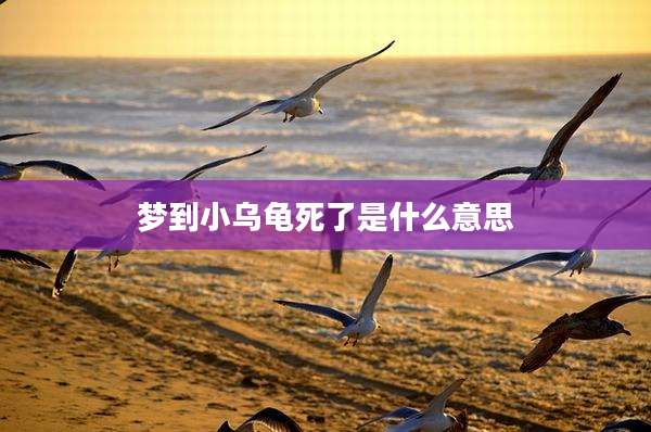 梦到小乌龟死了是什么意思