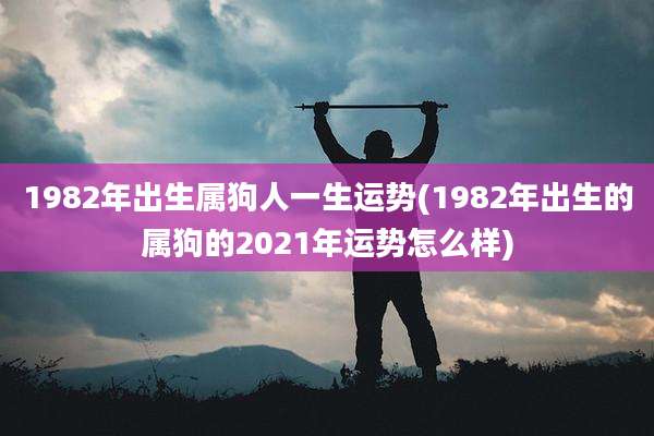 1982年出生属狗人一生运势(1982年出生的属狗的2021年运势怎么样)