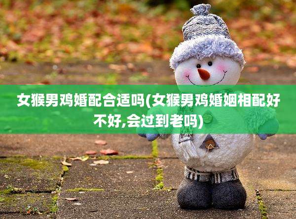 女猴男鸡婚配合适吗(女猴男鸡婚姻相配好不好,会过到老吗)