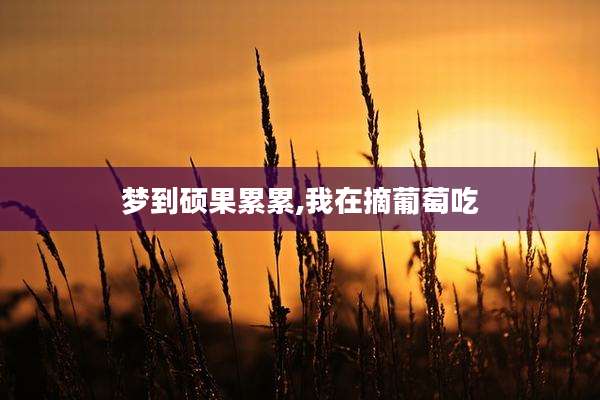 梦到硕果累累,我在摘葡萄吃