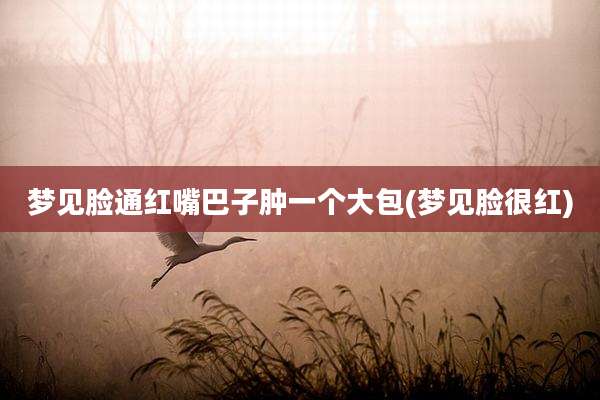 梦见脸通红嘴巴子肿一个大包(梦见脸很红)