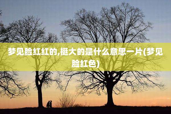 梦见脸红红的,挺大的是什么意思一片(梦见脸红色)