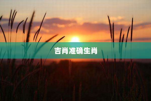 吉肖准确生肖