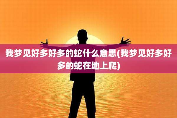 我梦见好多好多的蛇什么意思(我梦见好多好多的蛇在地上爬)