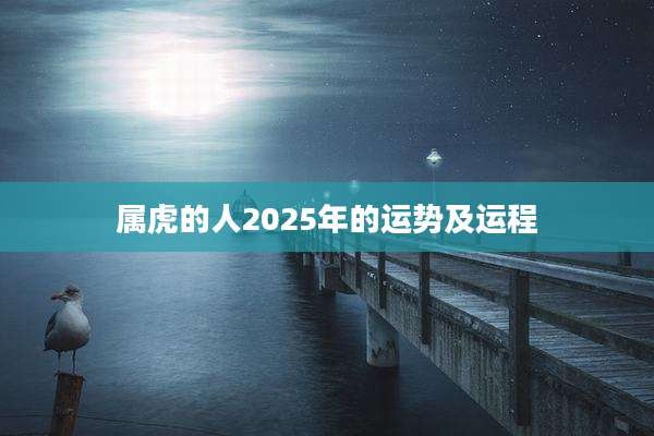 属虎的人2025年的运势及运程