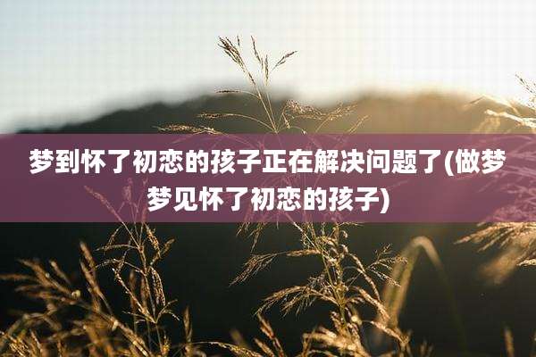 梦到怀了初恋的孩子正在解决问题了(做梦梦见怀了初恋的孩子)