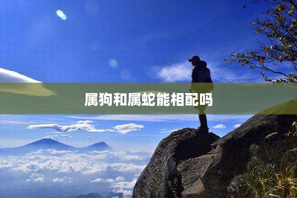 属狗和属蛇能相配吗
