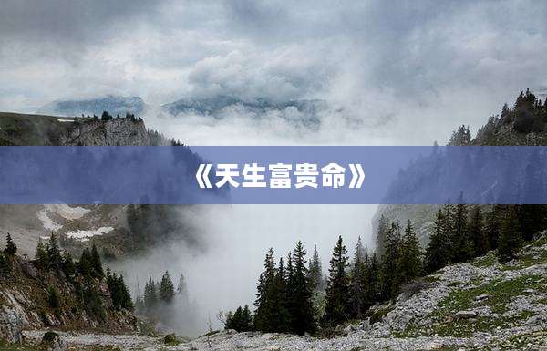 《天生富贵命》